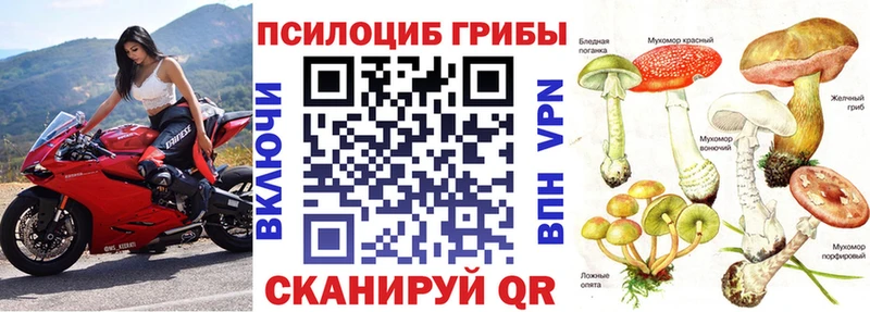где продают наркотики  Щёлково  Псилоцибиновые грибы мухоморы 
